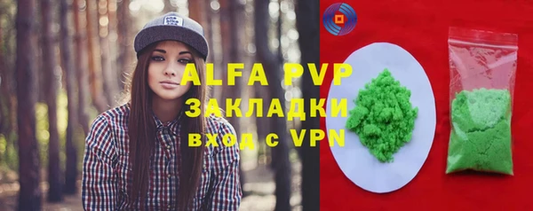 экстази Бородино
