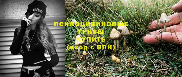 сатива Бугульма