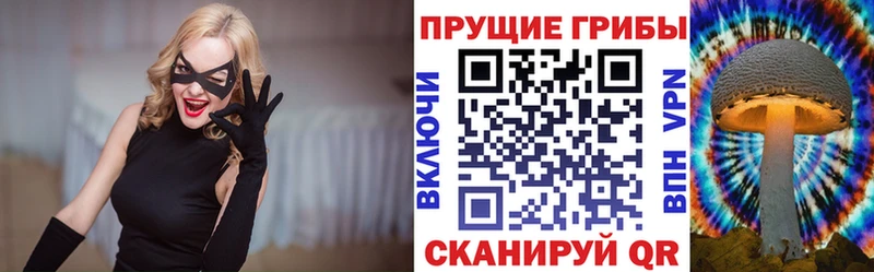 Псилоцибиновые грибы Cubensis Верещагино