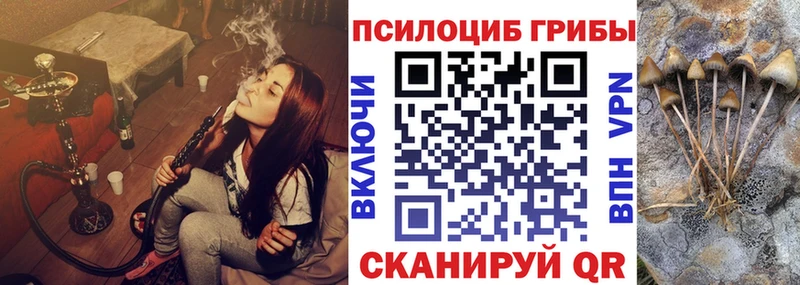 Галлюциногенные грибы мицелий Верещагино