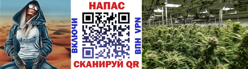 МАРИХУАНА семена  цена   Верещагино 